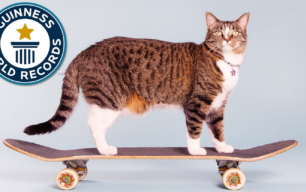 didga gato skater record guiness