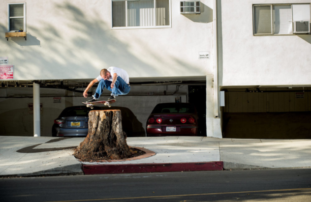 the cinematographer project transworld